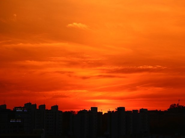 정신과 약 복용에 장점