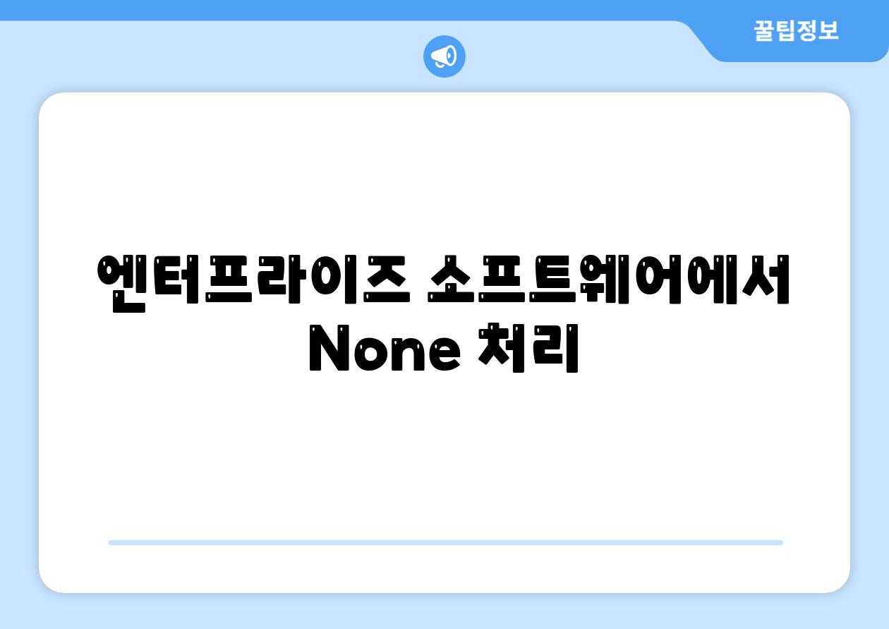 엔터프라이즈 소프트웨어에서 None 처리