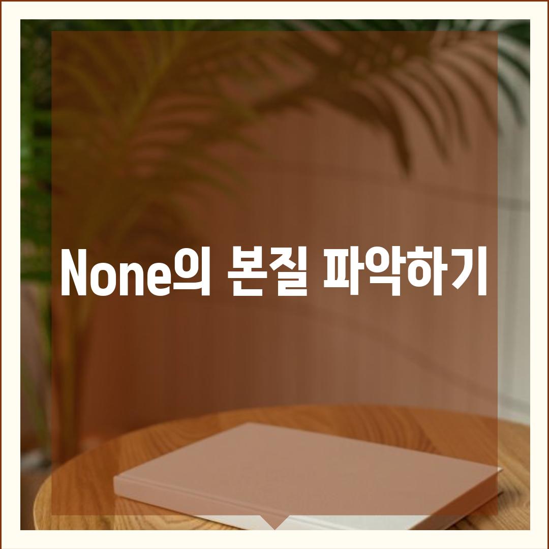 None의 본질 파악하기