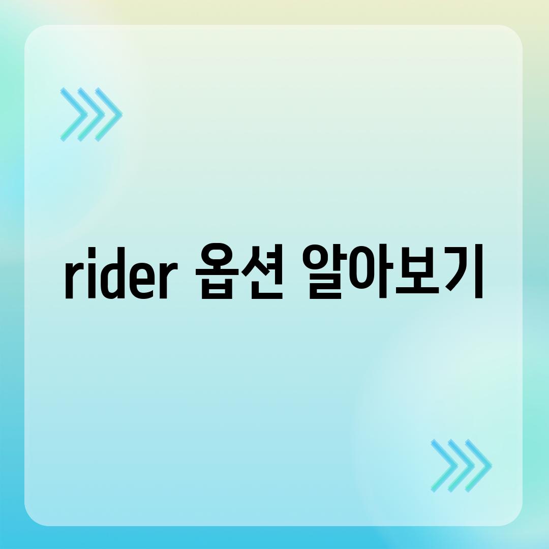 rider 옵션 알아보기