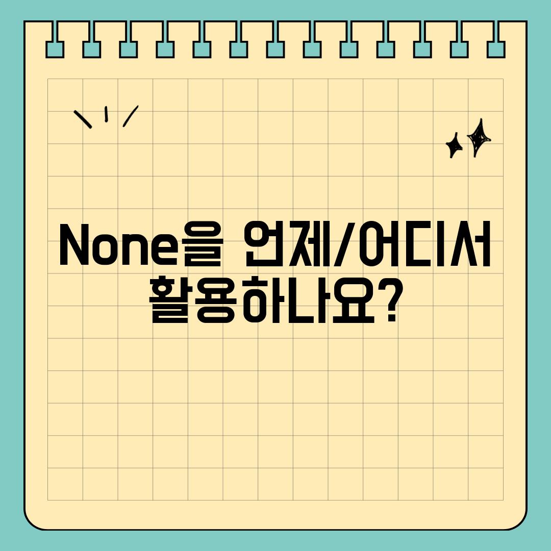 None을 언제/어디서 활용하나요?