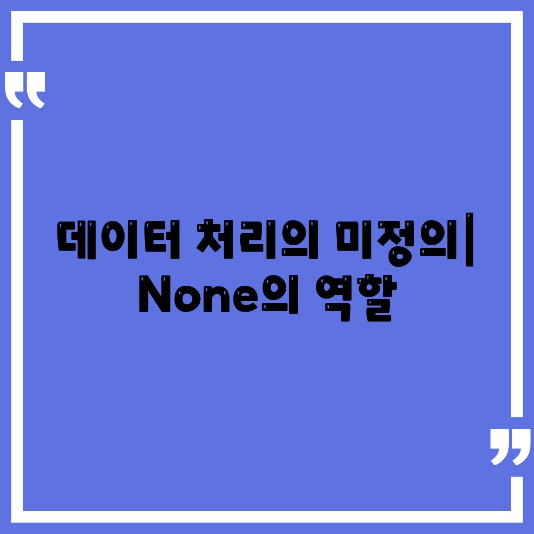 데이터 처리의 미정의| None의 역할