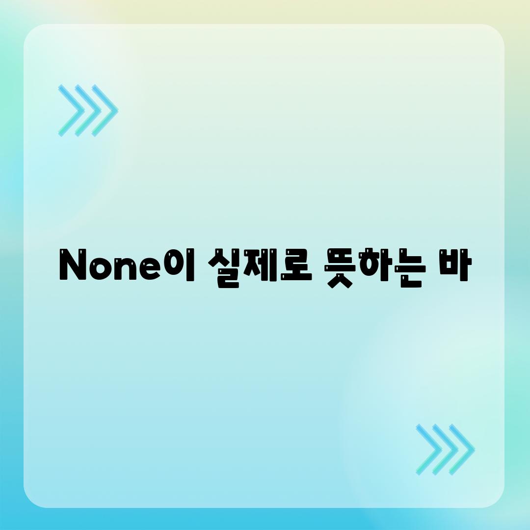 None이 실제로 뜻하는 바