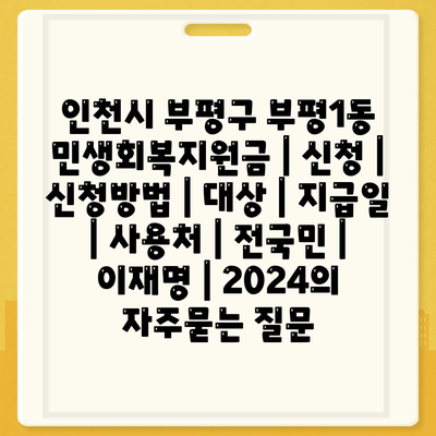 인천시 부평구 부평1동 민생회복지원금 | 신청 | 신청방법 | 대상 | 지급일 | 사용처 | 전국민 | 이재명 | 2024