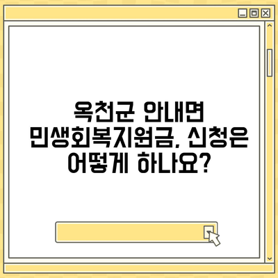 충청북도 옥천군 안내면 민생회복지원금 | 신청 | 신청방법 | 대상 | 지급일 | 사용처 | 전국민 | 이재명 | 2024