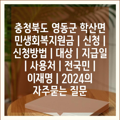 충청북도 영동군 학산면 민생회복지원금 | 신청 | 신청방법 | 대상 | 지급일 | 사용처 | 전국민 | 이재명 | 2024