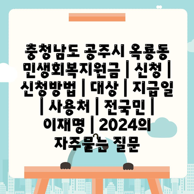 충청남도 공주시 옥룡동 민생회복지원금 | 신청 | 신청방법 | 대상 | 지급일 | 사용처 | 전국민 | 이재명 | 2024