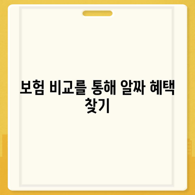 2024년 최고의 보험은 어디서 찾을까? 완벽 가이드 및 추천 리스트 | 보험, 비교, 혜택, 선택 팁