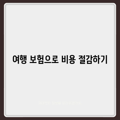 해외 여행객 필수! 여행 보험 최적화 가이드 | 여행 준비, 비용 절감, 안전한 여행 팁