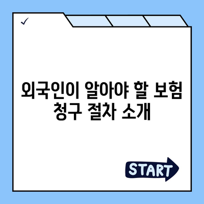 외국인을 위한 한국의 치과 보험 선택 가이드 | 치과 보험, 외국인, 한국