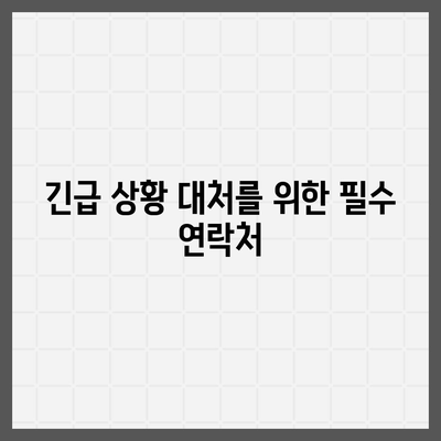 해외 여행자를 위한 안전 조치와 보험 가입 필수 체크리스트 | 여행 안전, 보험 가이드, 해외 여행 팁