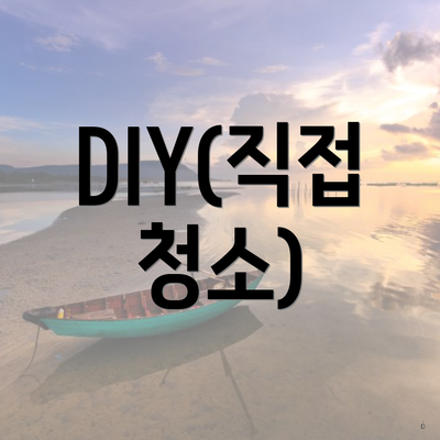 DIY(직접 청소)