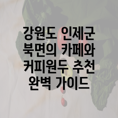 강원도 인제군 북면의 카페와 커피원두 추천 완벽 가이드