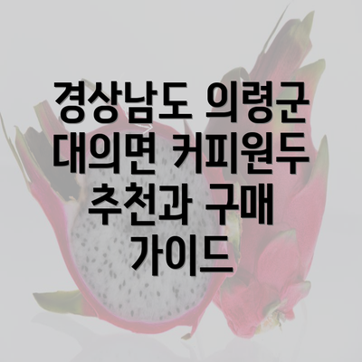 경상남도 의령군 대의면 커피원두 추천과 구매 가이드