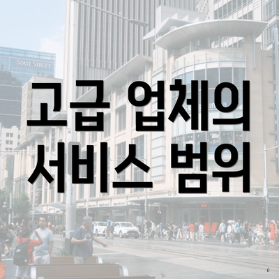 고급 업체의 서비스 범위