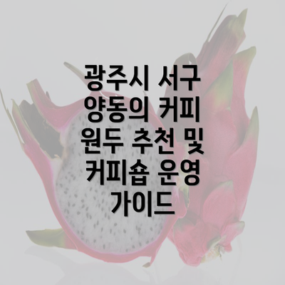 광주시 서구 양동의 커피 원두 추천 및 커피숍 운영 가이드