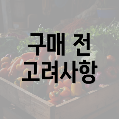 구매 전 고려사항