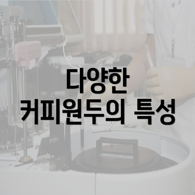 다양한 커피원두의 특성