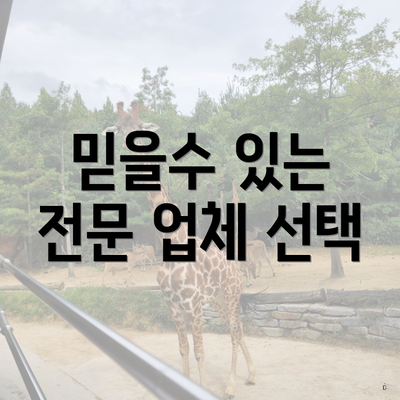 믿을수 있는 전문 업체 선택