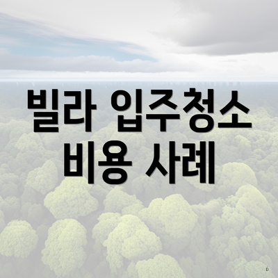 빌라 입주청소 비용 사례