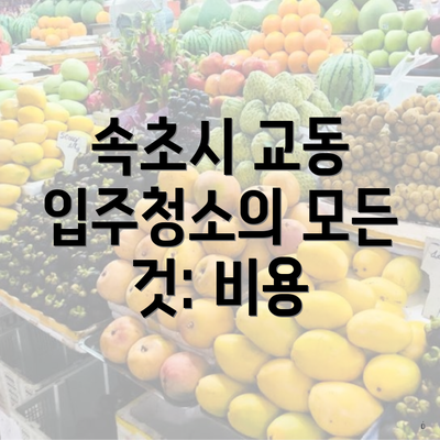 속초시 교동 입주청소의 모든 것: 비용