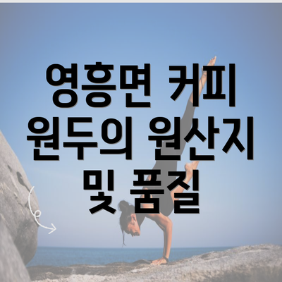 영흥면 커피 원두의 원산지 및 품질