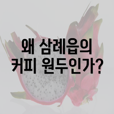 왜 삼례읍의 커피 원두인가?