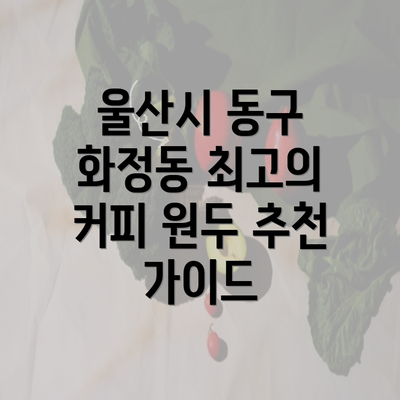 울산시 동구 화정동 최고의 커피 원두 추천 가이드