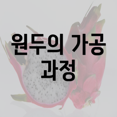 원두의 가공 과정