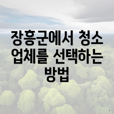 장흥군에서 청소 업체를 선택하는 방법