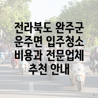 전라북도 완주군 운주면 입주청소 비용과 전문업체 추천 안내