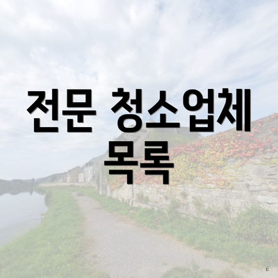 전문 청소업체 목록
