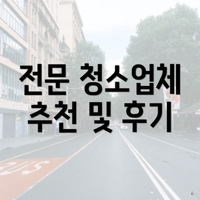 전문 청소업체 추천 및 후기