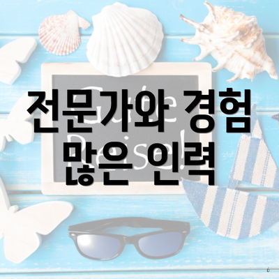 전문가와 경험 많은 인력