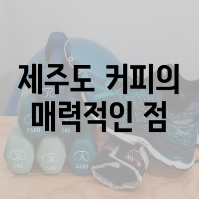 제주도 커피의 매력적인 점