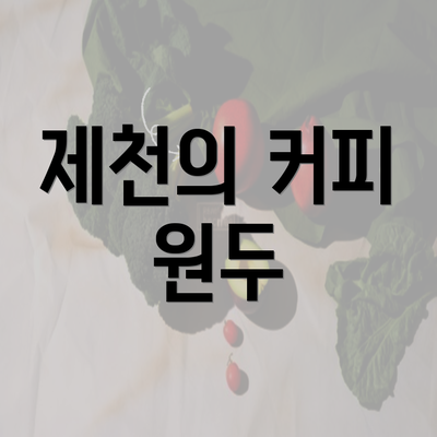 제천의 커피 원두