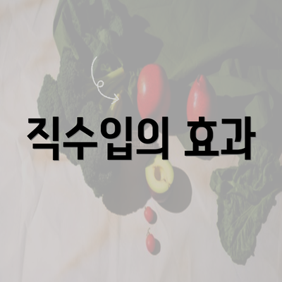 직수입의 효과