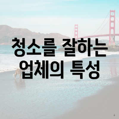 청소를 잘하는 업체의 특성