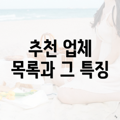 추천 업체 목록과 그 특징