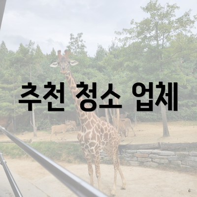 추천 청소 업체