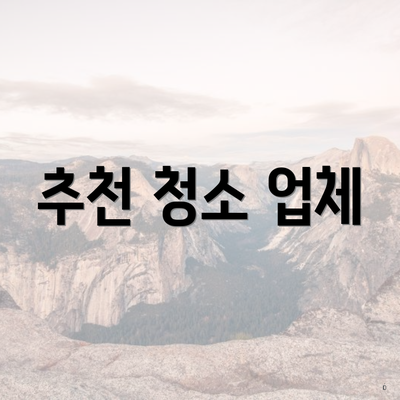 추천 청소 업체