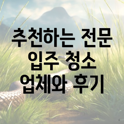 추천하는 전문 입주 청소 업체와 후기