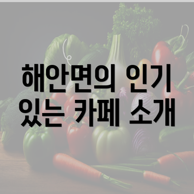 해안면의 인기 있는 카페 소개