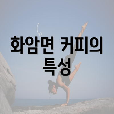 화암면 커피의 특성