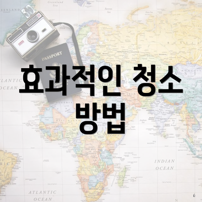 효과적인 청소 방법
