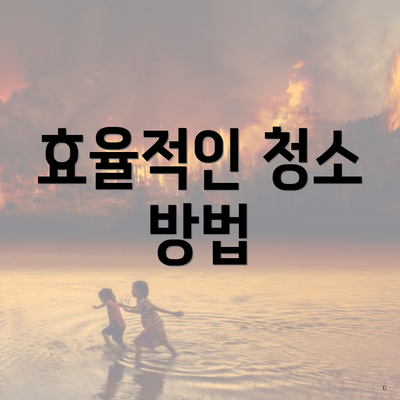 효율적인 청소 방법