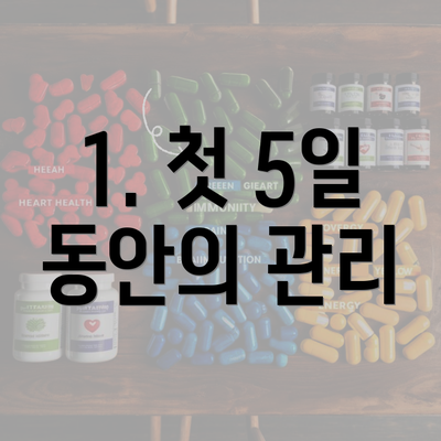 1. 첫 5일 동안의 관리