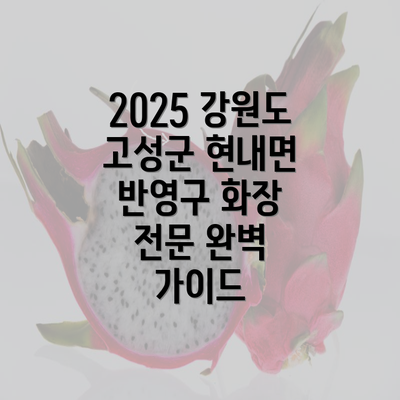 2025 강원도 고성군 현내면 반영구 화장 전문 완벽 가이드