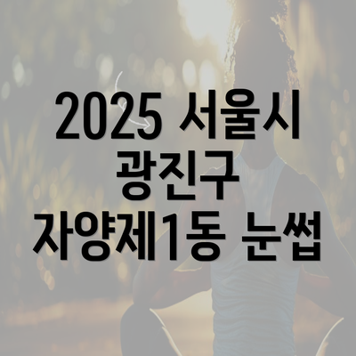 2025 서울시 광진구 자양제1동 눈썹