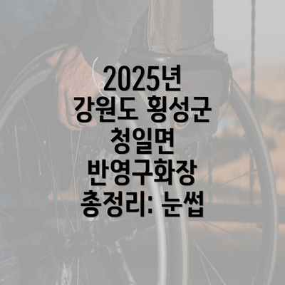 2025년 강원도 횡성군 청일면 반영구화장 총정리: 눈썹